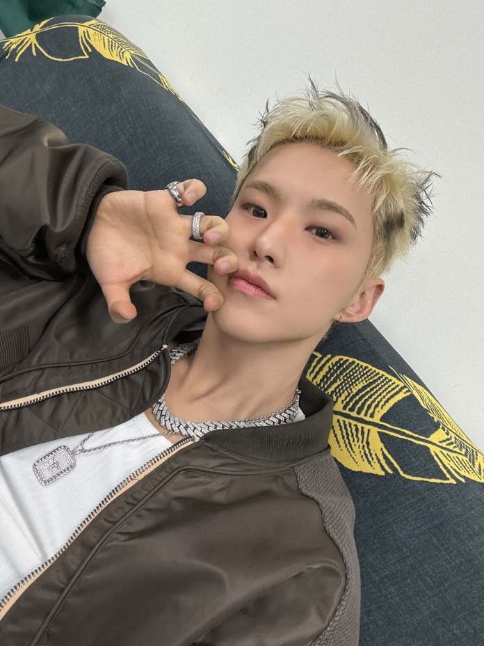 A close-up portrait of Hoshi with platinum blonde spiky hair, wearing a brown bomber jacket and silver jewelry, posing casually on a couch with a leaf-patterned background.