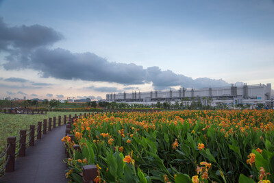 TCL CSOT Wetland Park (PRNewsfoto/TCL)