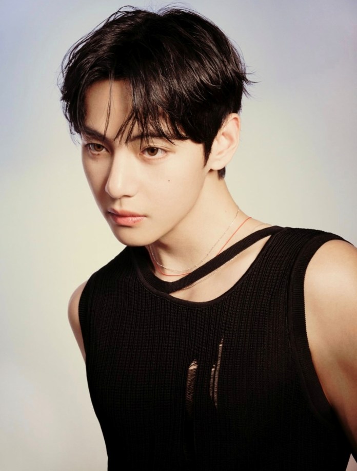 V with dark, tousled hair and light brown eyes is looking to the side. He is wearing a black sleeveless top with a stylish cutout design, and delicate necklaces are visible around his neck. The background features soft, muted colors.