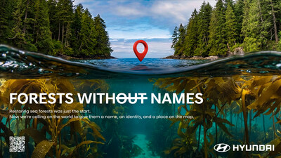Forests Without Names - Hyundai Motor Brings the World’s Hidden Sea Forests Into the Light