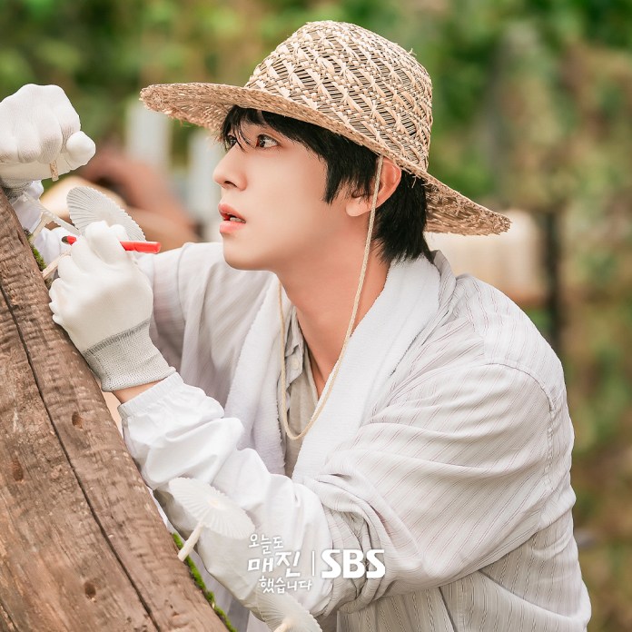 Ahn Hyo-seop wearing a straw hat and gloves carefully works on a wooden structure, focused on his task. He is surrounded by lush greenery, suggesting an outdoor setting.