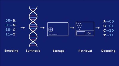 How Molecular Data Storage Works? While the DNA technology landscape remains fragmented across writing, reading, and storage, GenScript brings capabilities across key parts of the DNA data storage value chain, including synthesis, sequencing-related technologies, and platform development.