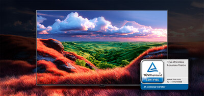 2. True Wireless Lossless Vision Certification