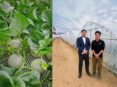 (From Left) This month, Green Gorilla showcases the King Kong Melon, also called the Green Gorilla Melon, from Ibaraki Melons; Mitsuharu and a Green Gorilla farming partner.