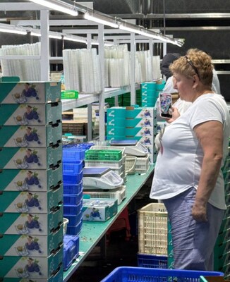 Photo shows a Russian trader visiting a blueberry packaging workshop in Rizhao City, east China's Shandong Province. (Source: Publicity Department of CPC Rizhao Municipal Committee)