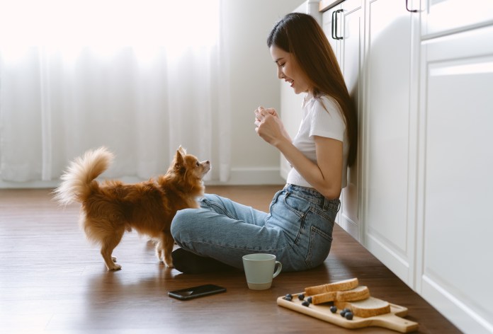 A young woman sitting on the floor next to a small brown dog in a bright kitchen, interacting playfully. A cup and a wooden platter with toast and blueberries are nearby.