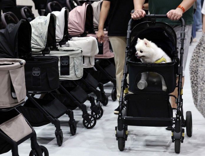 A small white dog in a stroller surrounded by several other strollers in a shopping setting.