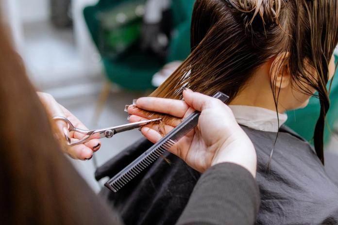 A hairstylist using scissors and a comb to cut the hair of a client in a salon setting.