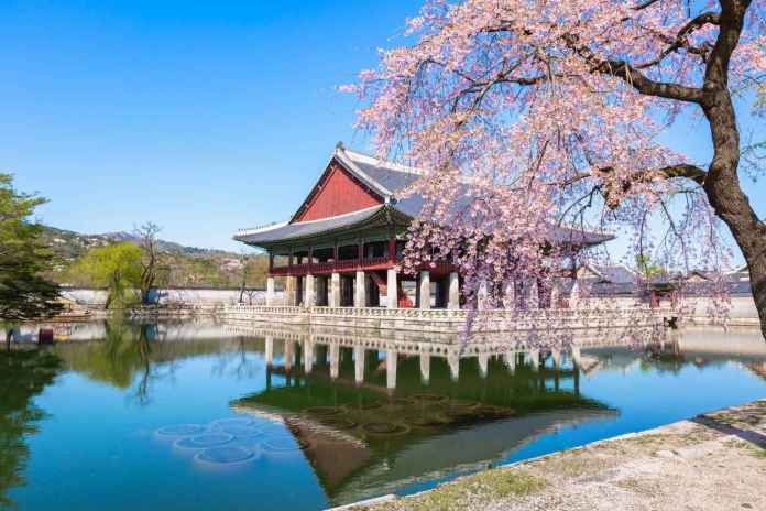 A traditional Korean pavilion reflected in a tranquil pond, surrounded by blooming cherry blossom trees and clear blue skies.