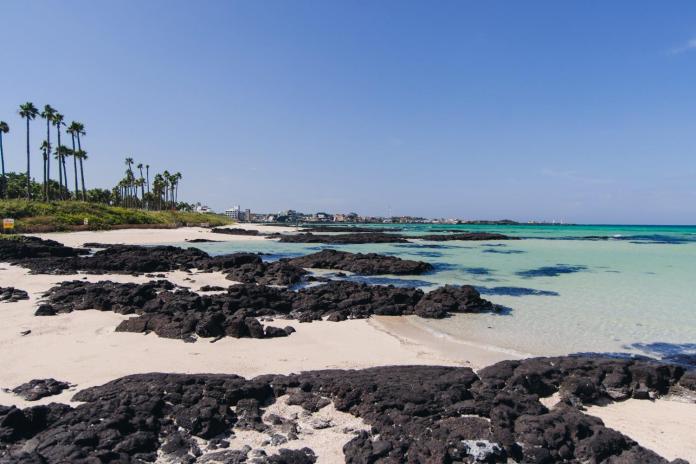 A scenic beach view featuring palm trees, sandy shores, and rocky formations, with turquoise waters and a clear blue sky.