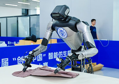 An Autonomous Clothes-Folding Robot