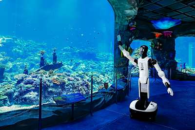An AGIBOT robot assists visitors at Chimelong Spaceship Park, providing information, guidance and interactive services.