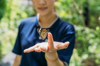Merlin Butterfly Sanctuary & Nature Walk