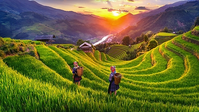 Rest days between appointments allow international patients to explore northern Vietnam’s terraced highlands