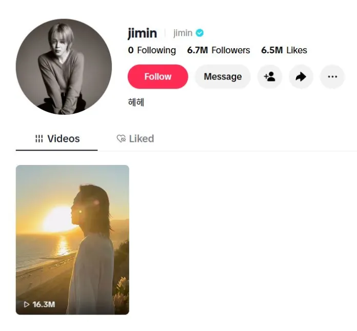 Profile of a Jimin, featuring a black and white circular image, follower count, and a video thumbnail showing a silhouette against a sunset.