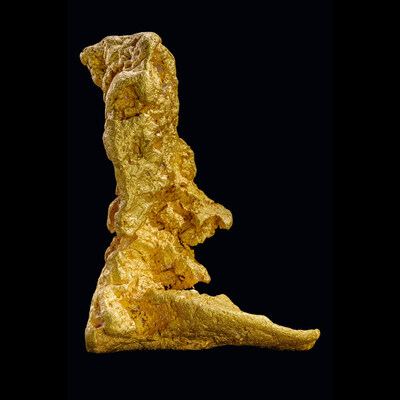 The rare, historic Boot of Cortez will be auctioned June 12 at EJ's Auction & Appraisal in Glendale, Arizona. It is the largest surviving natural gold nugget found in the Western Hemisphere. Bidders can register through June 9 at bootofcortez.com. Photo credit - Jeff Noble/jeffnoblepictures.com