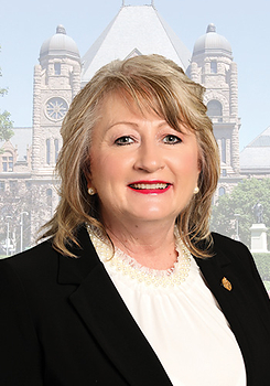 Dawn Gallagher Murphy, Member of Provincial Parliament for Newmarket Aurora. Dawn Gallagher Murphy, Member of Provincial Parliament for Newmarket Aurora.
