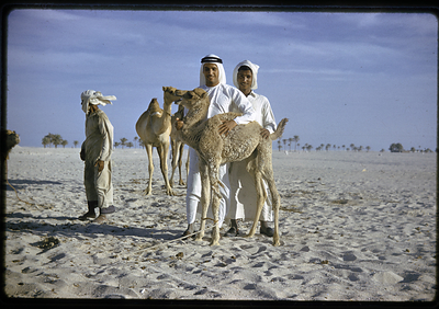 Credit line: Peter Leach © Department of Culture and Tourism-Abu Dhabi, Zayed National Museum Collection
