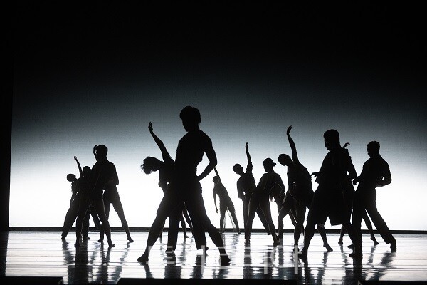 정글 / (c)국립현대무용단