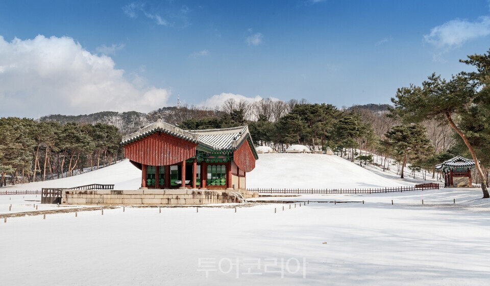 서오릉 명릉/사진=국가유산청