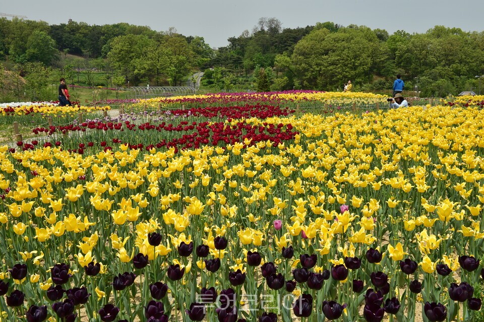 광교호수공원/사진=수원시