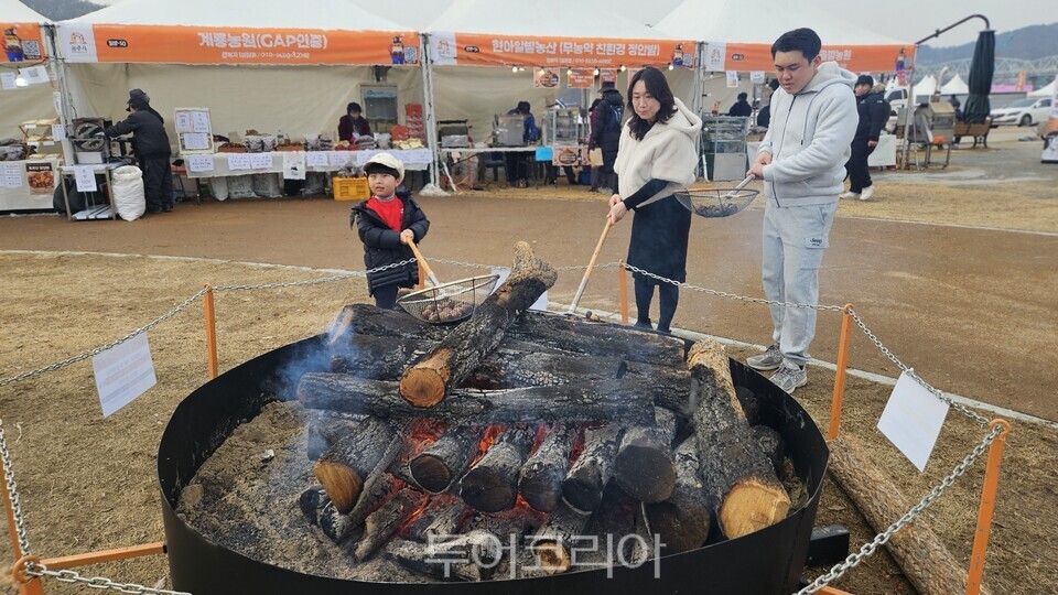 알밤구이  체험/ 투어코리아뉴스 유경훈 기자