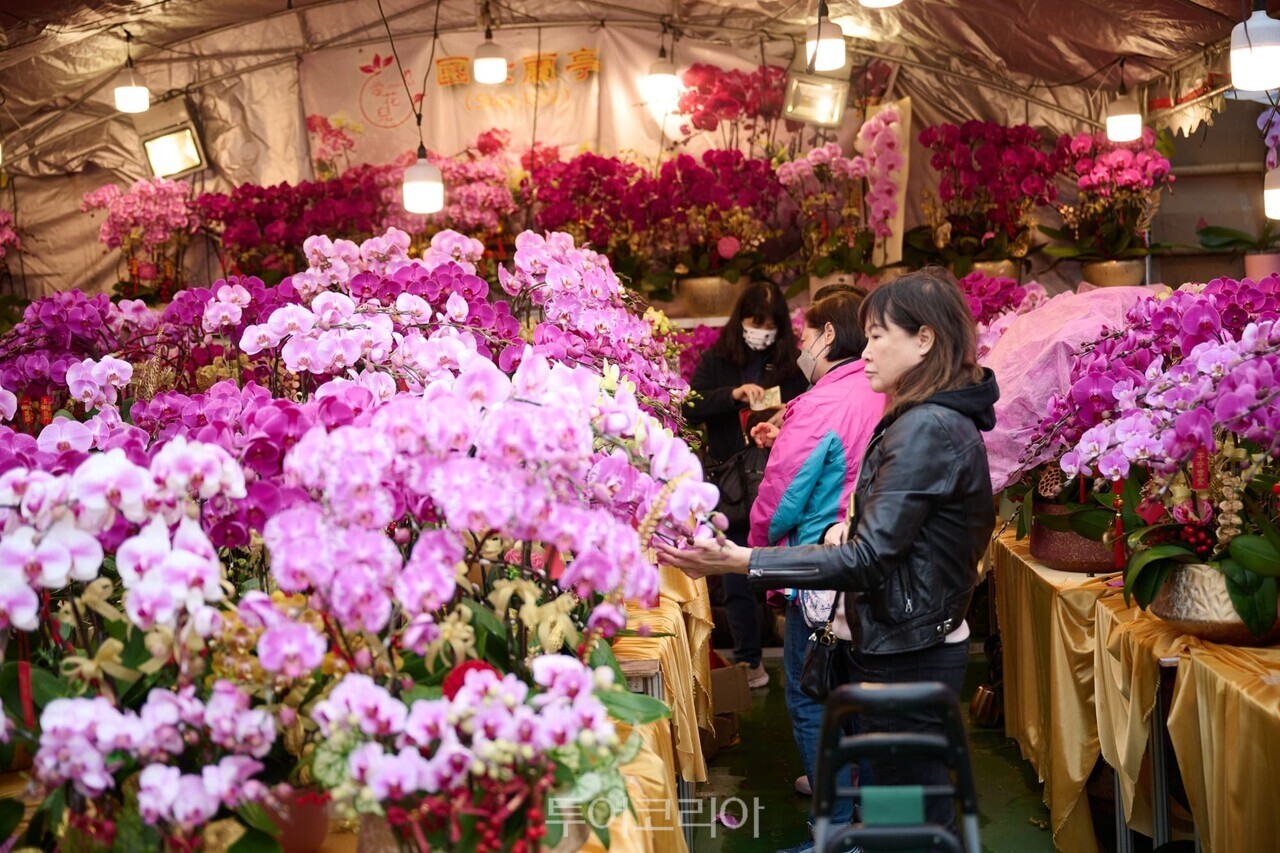 설 맞이 꽃 시장(Lunar New Year Fairs)/사진-홍콩관광청