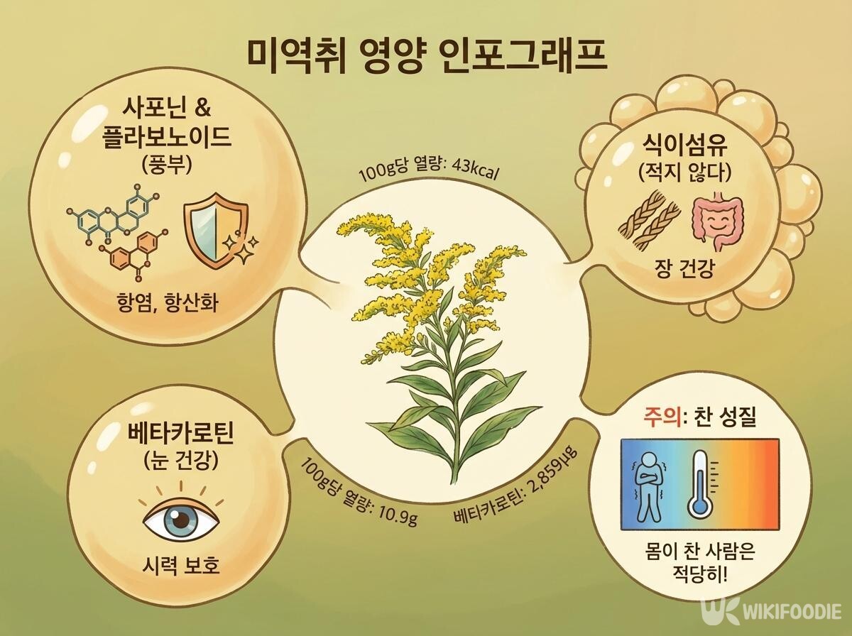미역취의 영양 성분과 효능을 한눈에 정리한 인포그래픽이다. / 위키푸디