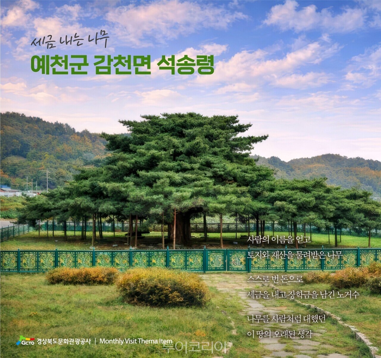 예천군 감천면 석송령/사진- 경상북도문화관광공사