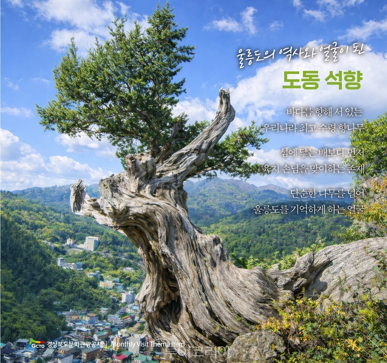 울릉 도동 석향/사진- 경상북도문화관광공사​