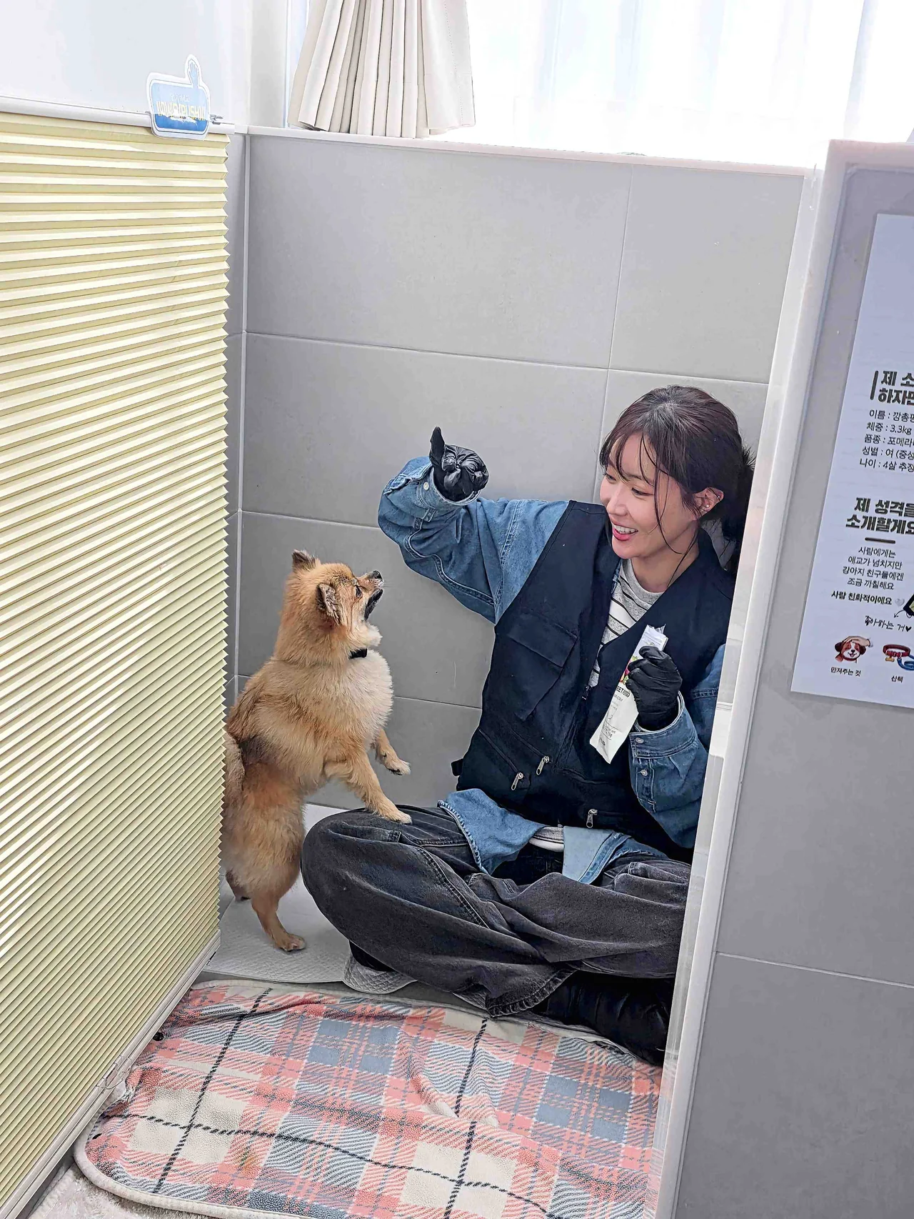 
                /사진=임수향, 유기동물 보호 'Give&Love' 캠페인 참여
            