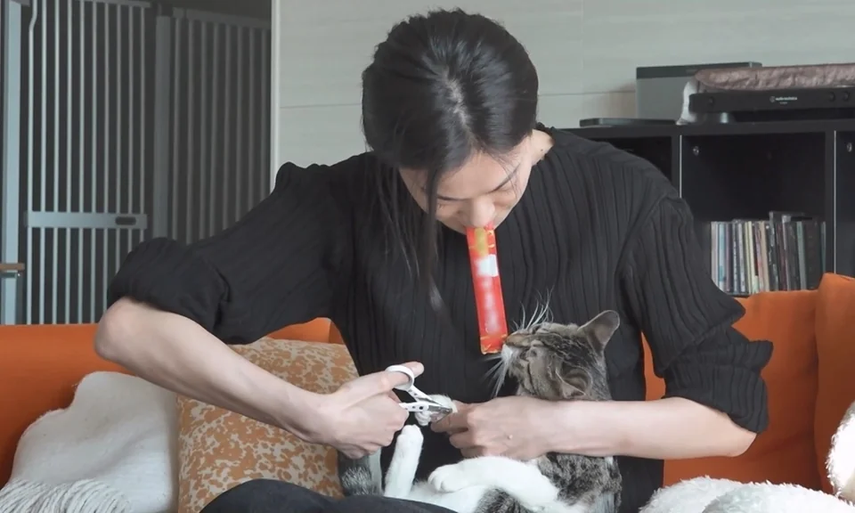 /사진=MBC '나 혼자 산다', 옥자연 시각장애 반려묘 '봄이' 입양 공개