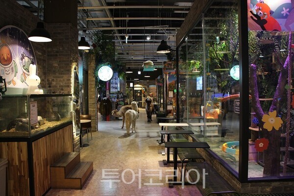 동물친구 교육체험관 이미지 / 2026.02.12. / 투어코리아 이창호 기자