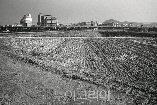 고잔신도시 조성 전 고잔뜰 전경/투어코리아뉴스 정명달 기자