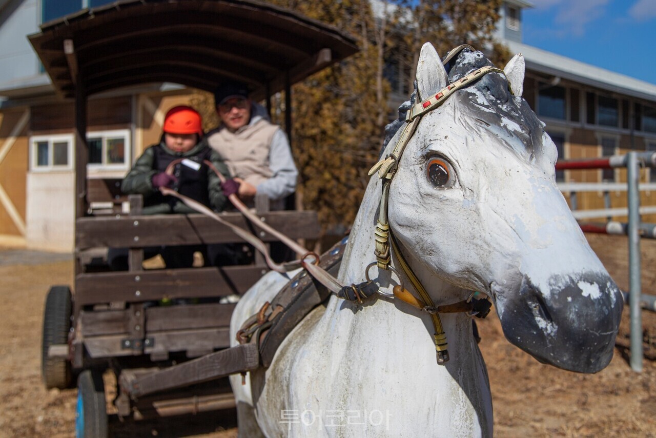 궁평캠프   / 사진－경기관광공사