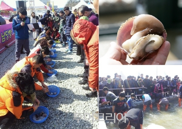 홍성 남당항 새조개축제/사진-홍성군