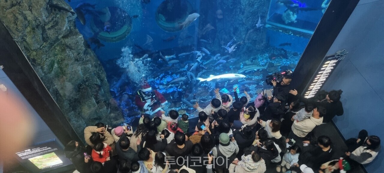 다누리아쿠아리움 / 사진-단양군