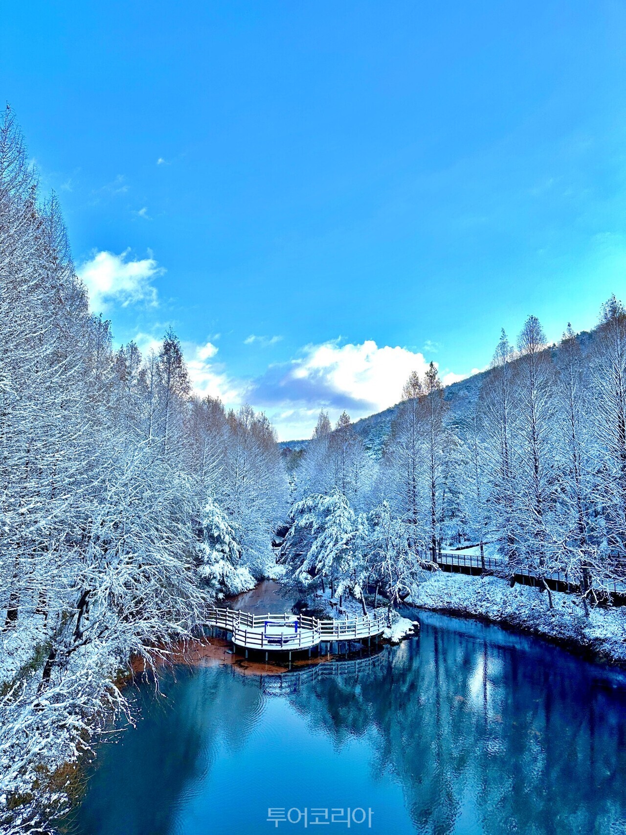 미동산수목원 /사진-충북도 제공