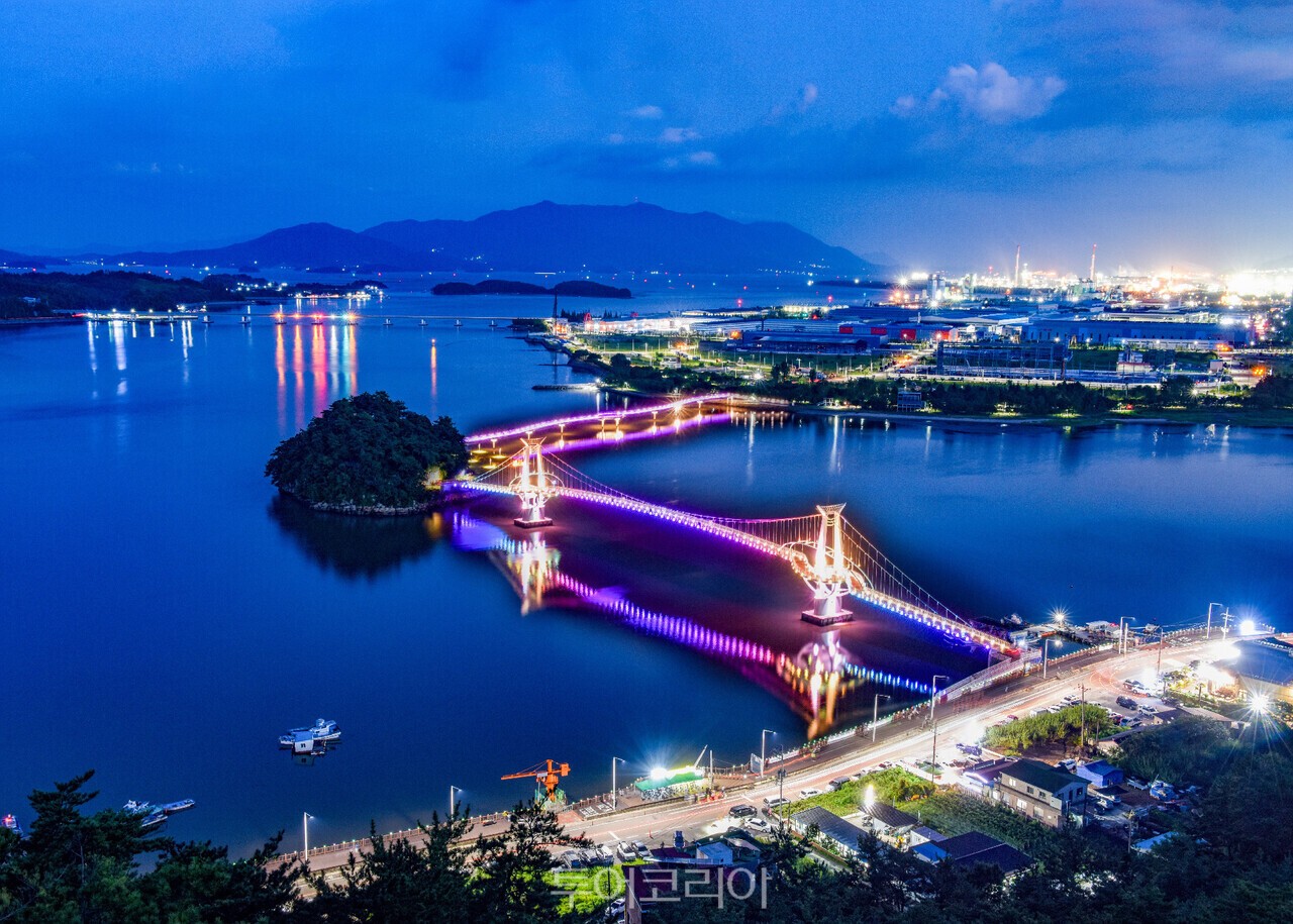 광양 배알도 야경 매화/ 사진-광양시