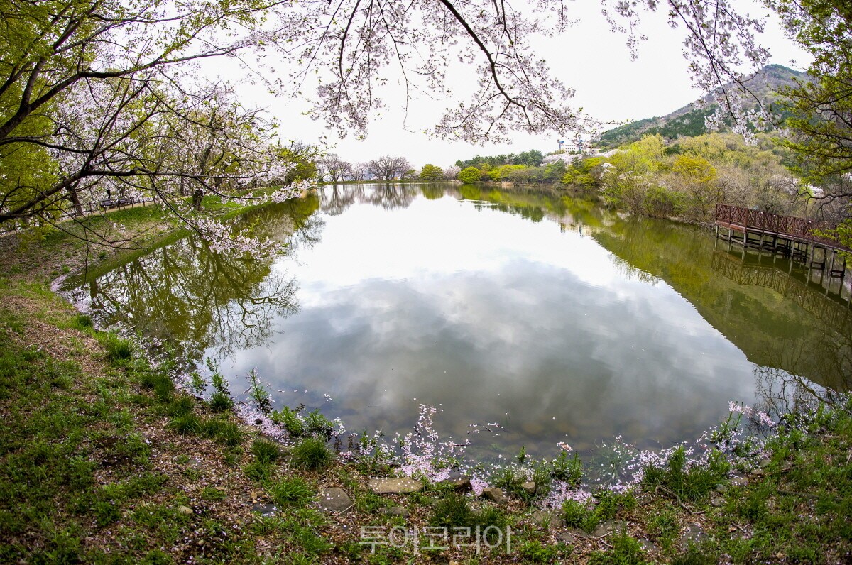 "진해내수면환경생태공원 사진-창원시(공보관)(5)" "진해해양공원 사진-창원시(공보관)(4)" "창원수목원 사진-창원시(공보관)(2)" "창원의 집 세시민속놀이 사진-창원시" "해양드라마세트장 사진-창원시(공보관)(3)" /사진-창원시