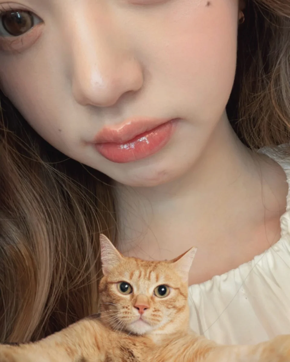 클로즈업 & 치즈 고양이 | 고양이보다 더 고양이 같은 눈매, 접사를 부르는 무결점 미모 /사진=장원영 인스타그램