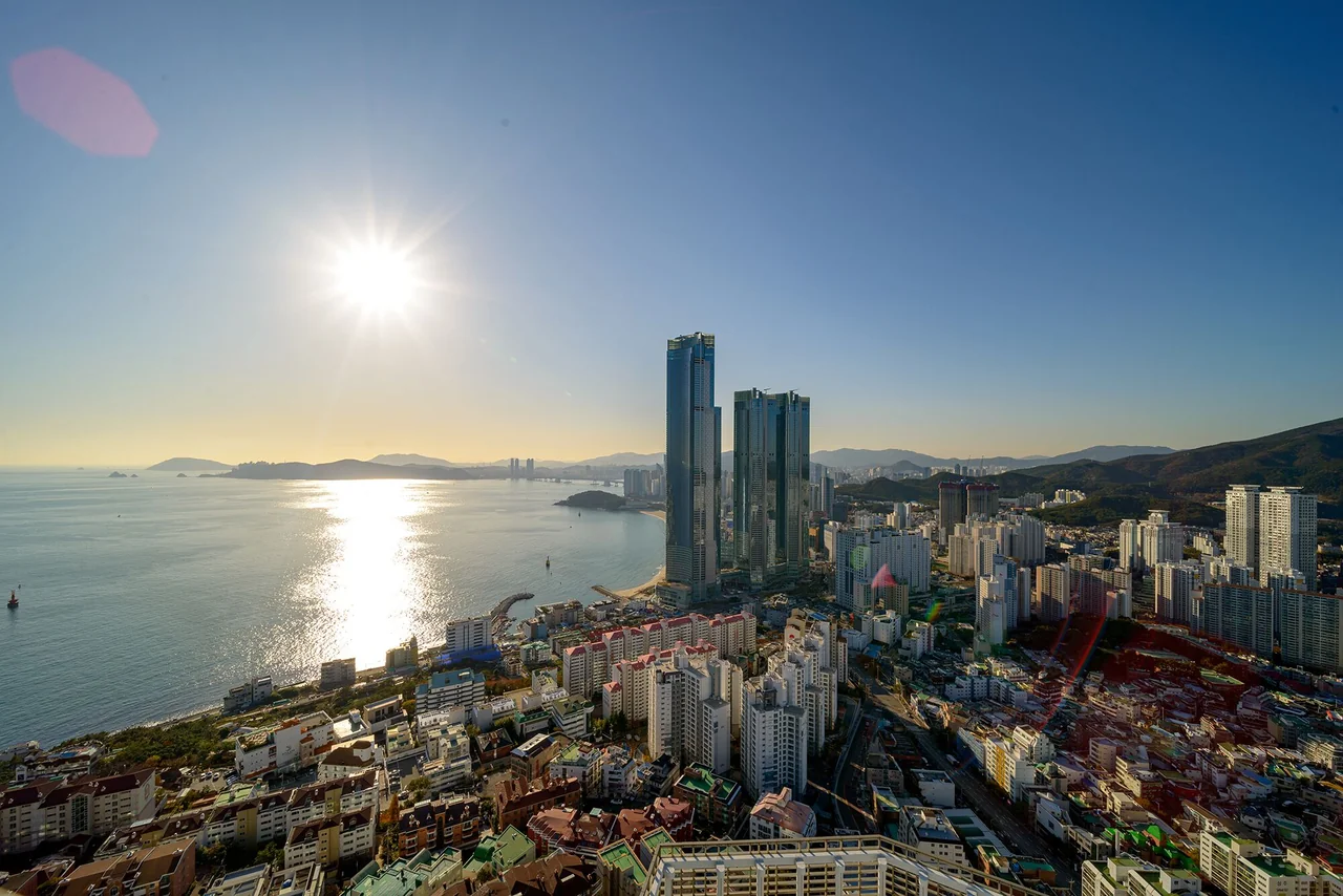 /사진=호텔스닷컴, 국내 봄 여행 '벚꽃 여행 가이드' 공개