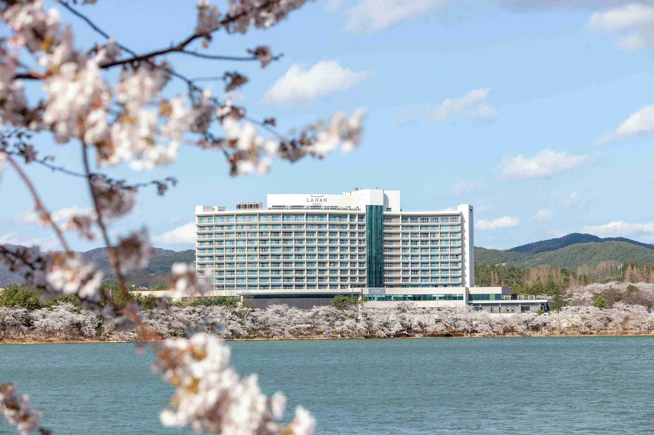 /사진=호텔스닷컴, 국내 봄 여행 '벚꽃 여행 가이드' 공개