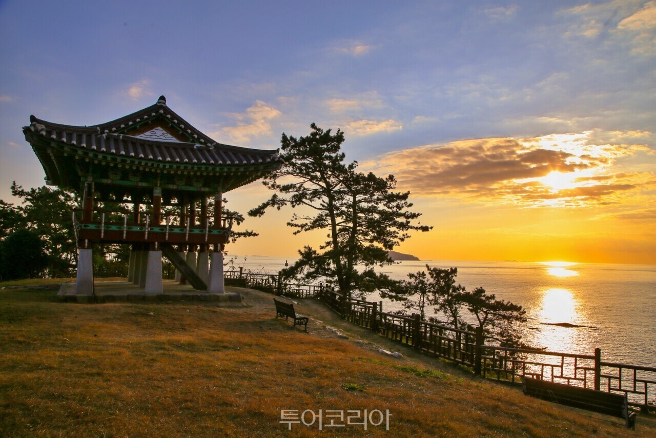 서산 간월도스카이워크 서천 마량리 동백나무 숲 서천 동백정 /사진-충남도