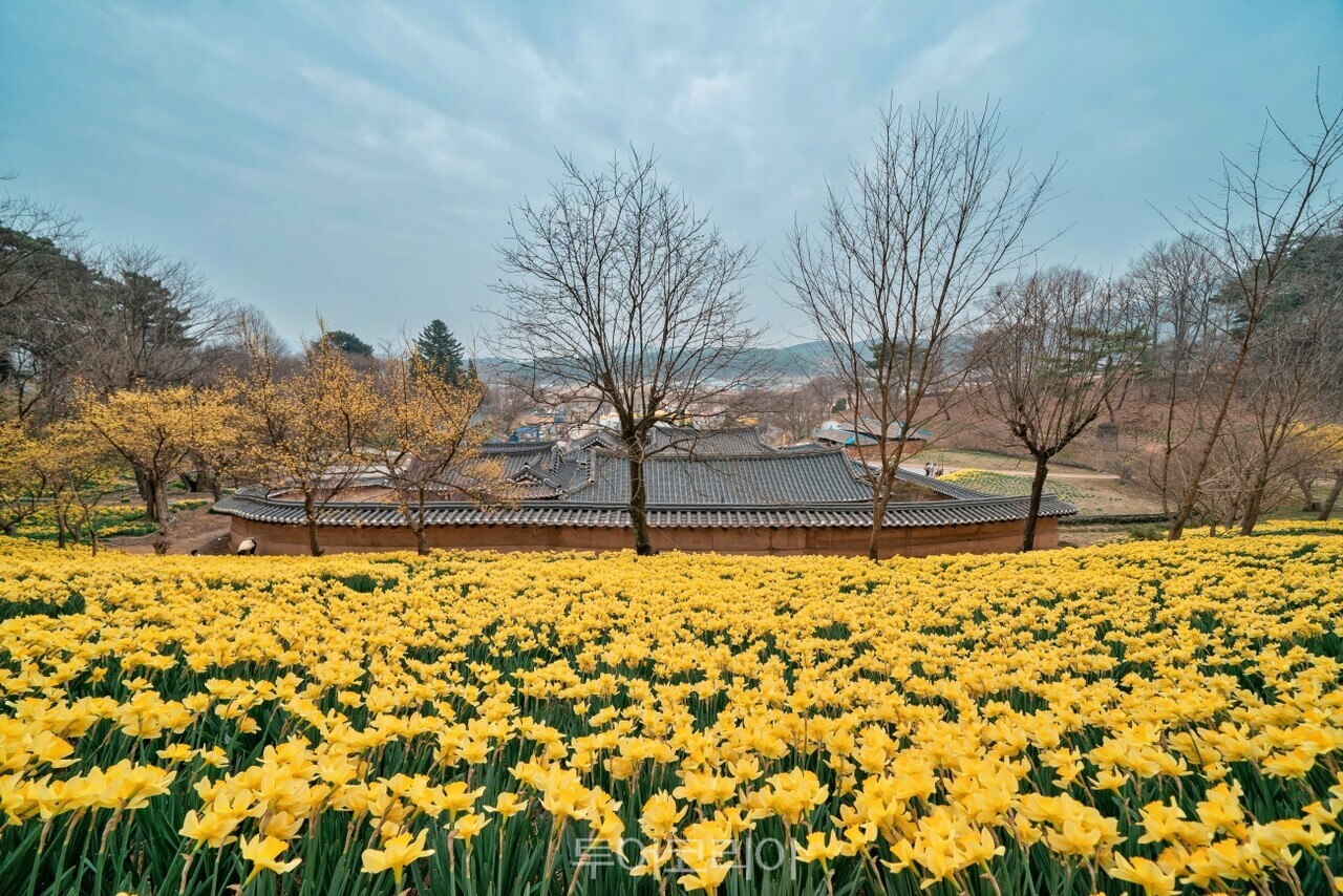 서산 유기방가옥/사진-충남도