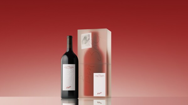 Penfolds Bin 389 Designed by Troye Sivan Magnum