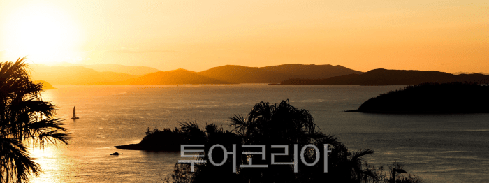 원 트리 힐 ⓒ해밀턴 아일랜드