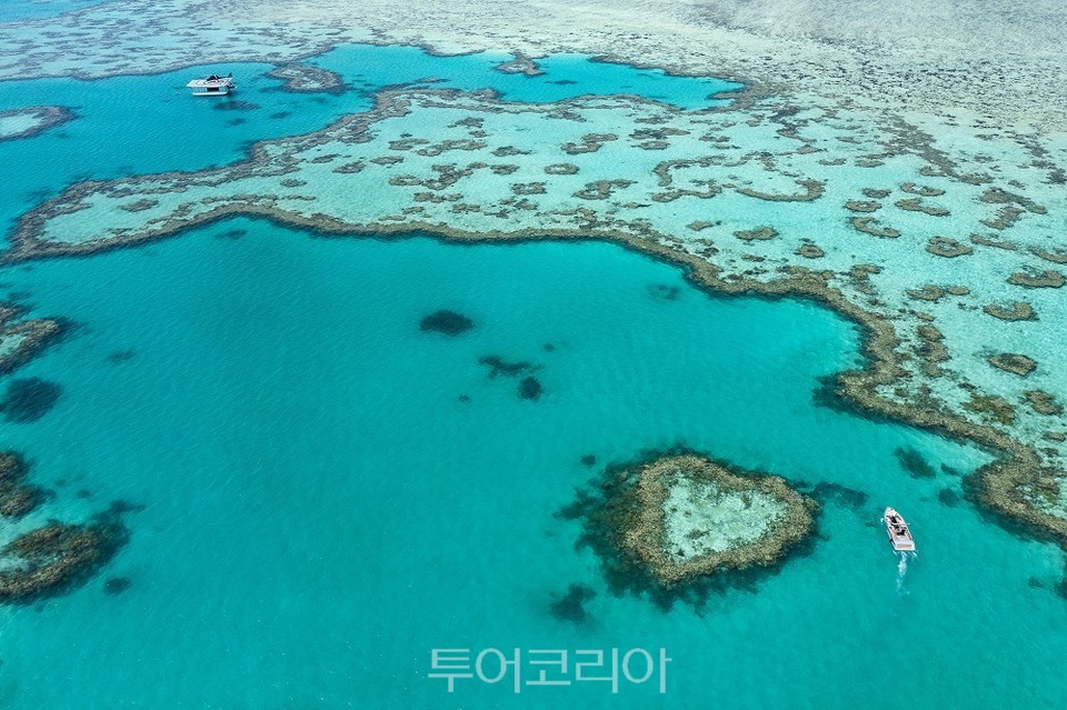퀸즈랜드 그레이트 배리어 리프 '하트 리프'/사진출처-호주관광청