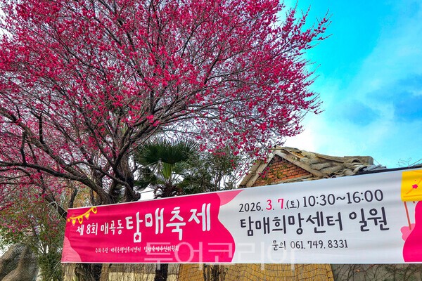 순천 매곡동 탐매축제장 모습 / 사진_투어코리아 유지훈 기자