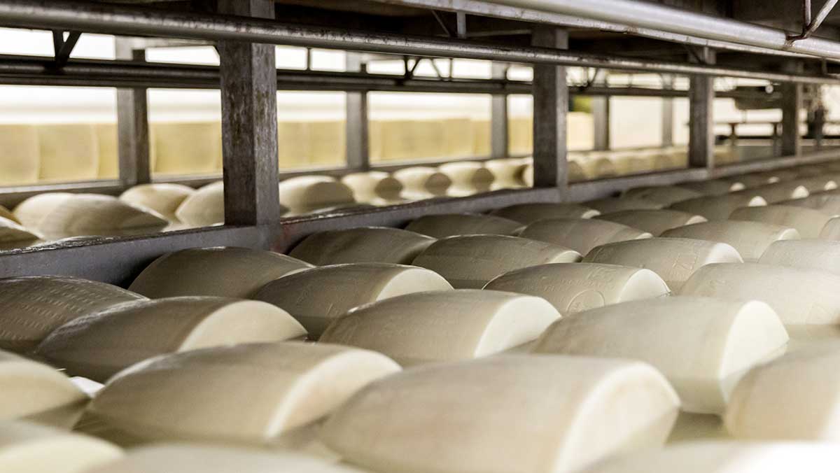 크림치즈 공장. / mariakray-shutterstock.com